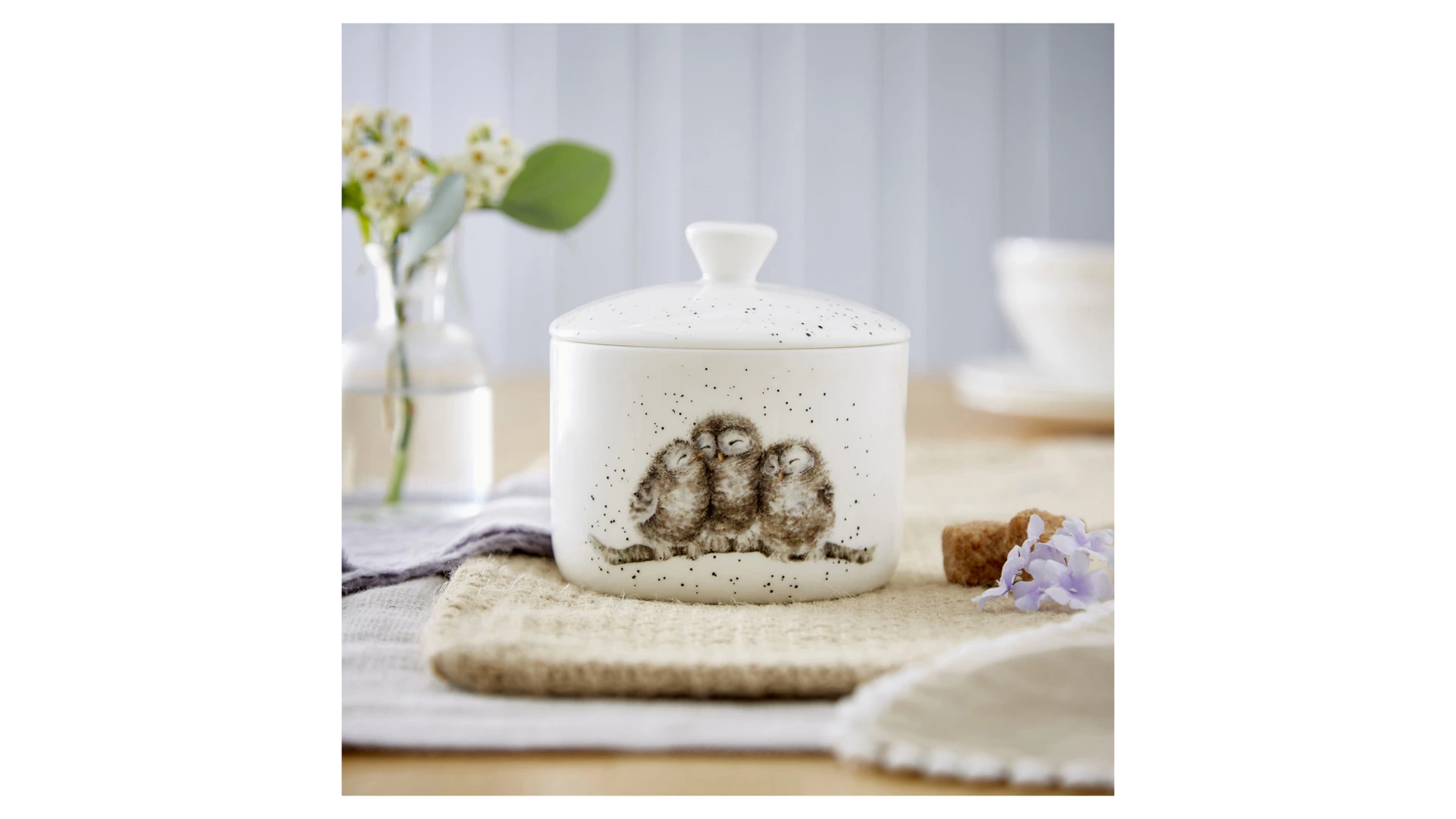 Банка для хранения с крышкой Royal Worcester Забавная фауна Совы 9,5х10 см, фарфор костяной