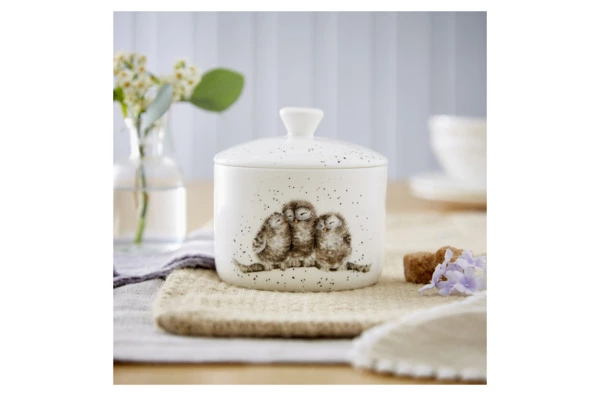 Банка для хранения с крышкой Royal Worcester Забавная фауна Совы 9,5х10 см, фарфор костяной