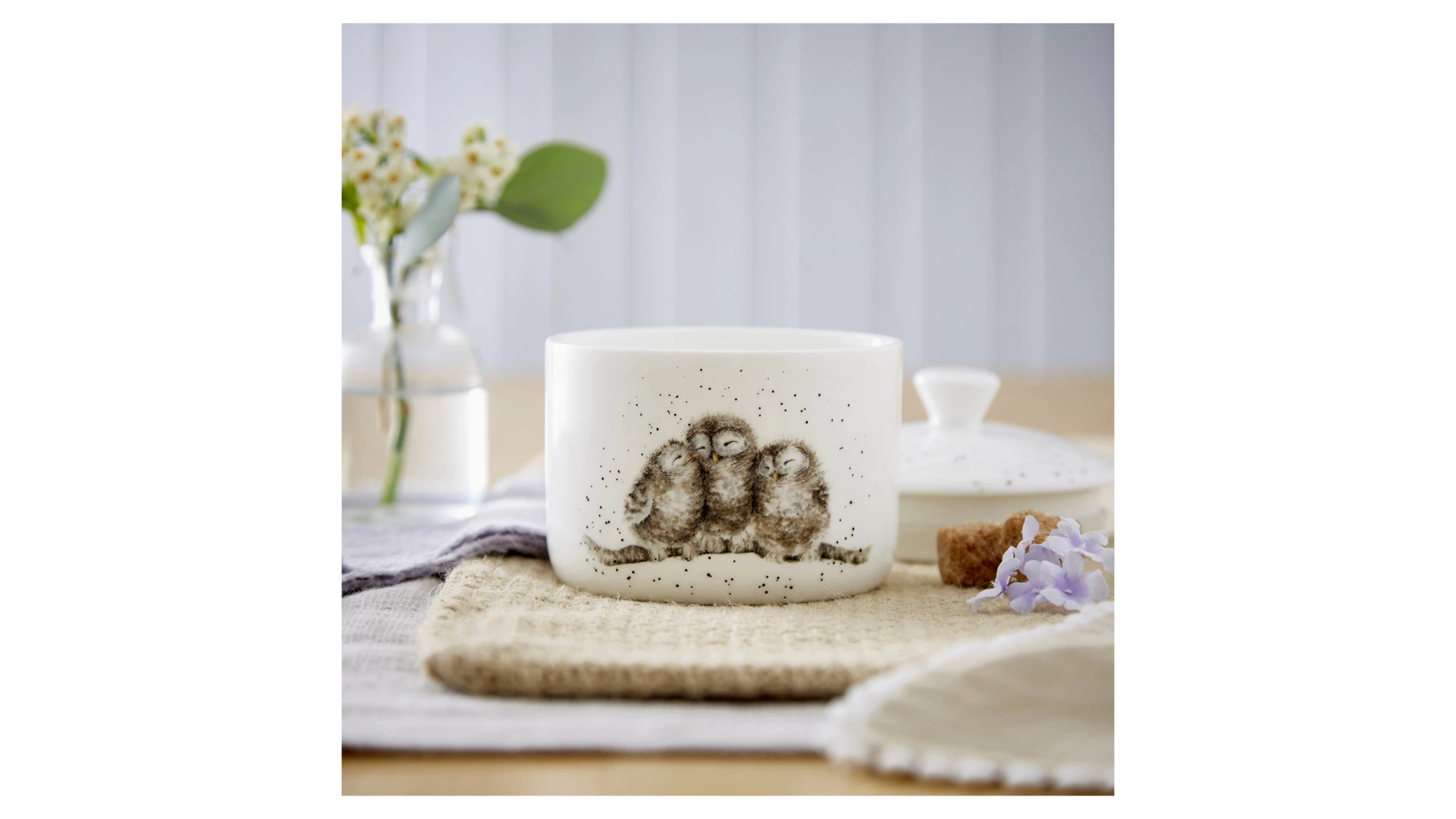 Банка для хранения с крышкой Royal Worcester Забавная фауна Совы 9,5х10 см, фарфор костяной