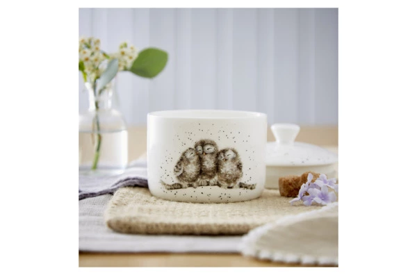 Банка для хранения с крышкой Royal Worcester Забавная фауна Совы 9,5х10 см, фарфор костяной