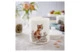 Банка для хранения с крышкой Royal Worcester Забавная фауна Лиса 14х10 см, фарфор костяной