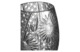 Ваза для цветов ГХЗ Астра с рисунком Флористика 25 см, хрусталь