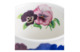 Кружка Roy Kirkham Анютины глазки Темные цветы Ланкастер 320 мл, фарфор костяной