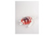 Фигурка Lladro Черепаха 27х26х8 см, фарфор