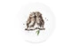Тарелка закусочная Royal Worcester Забавная фауна Совы 21 см, фарфор костяной