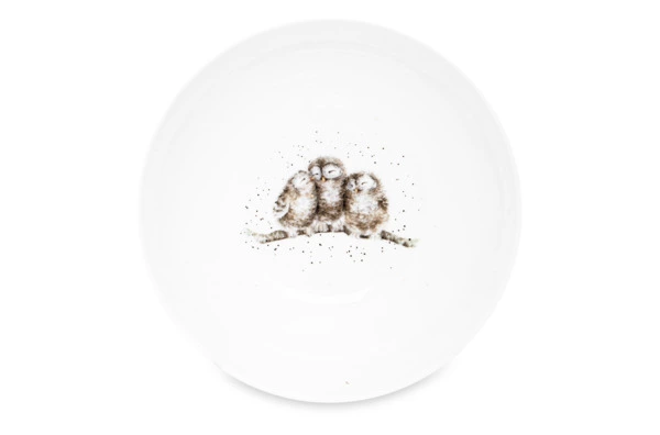 Салатник порционный Royal Worcester Забавная фауна Совята 15 см, фарфор костяной