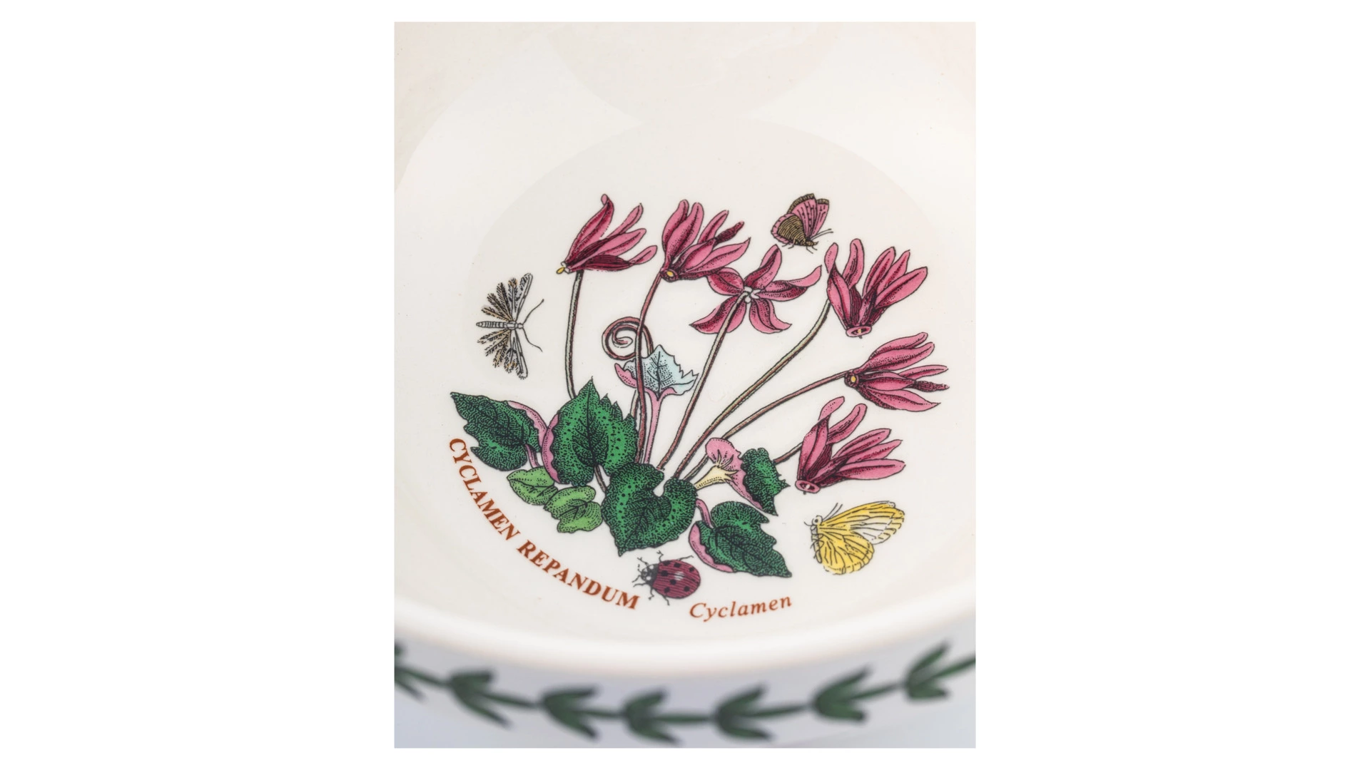 Салатник Portmeirion Ботанический сад Цикламен 17,5 см, фаянс