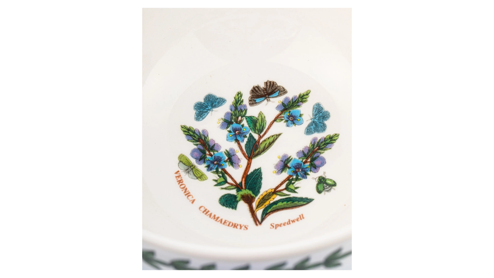 Салатник Portmeirion Ботанический сад Вероника 17,5 см, фаянс