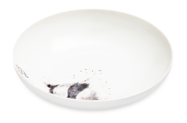 Тарелка для пасты Royal Worcester Забавная фауна Барсук 22 см, фарфор