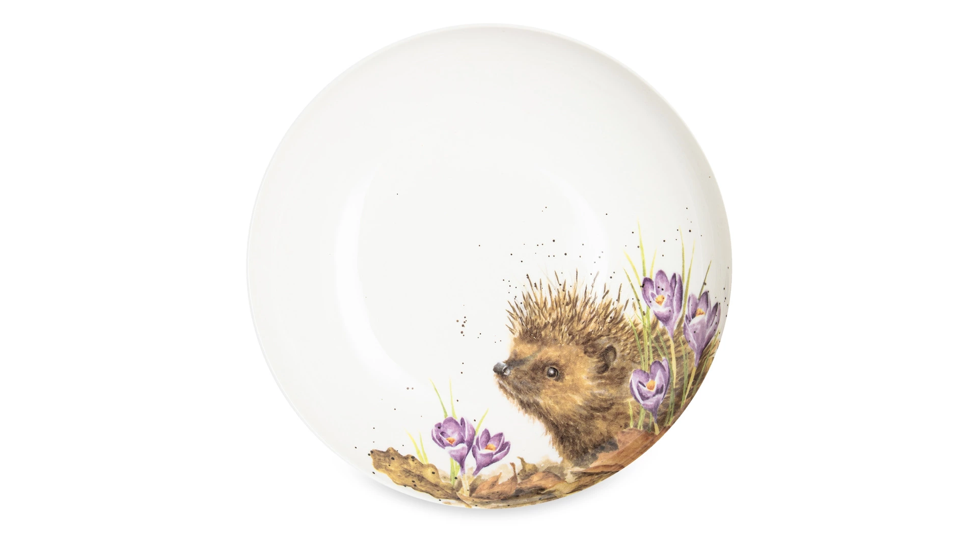 Тарелка для пасты Royal Worcester Забавная фауна Еж 22 см, фарфор костяной