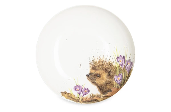 Тарелка для пасты Royal Worcester Забавная фауна Еж 22 см, фарфор костяной