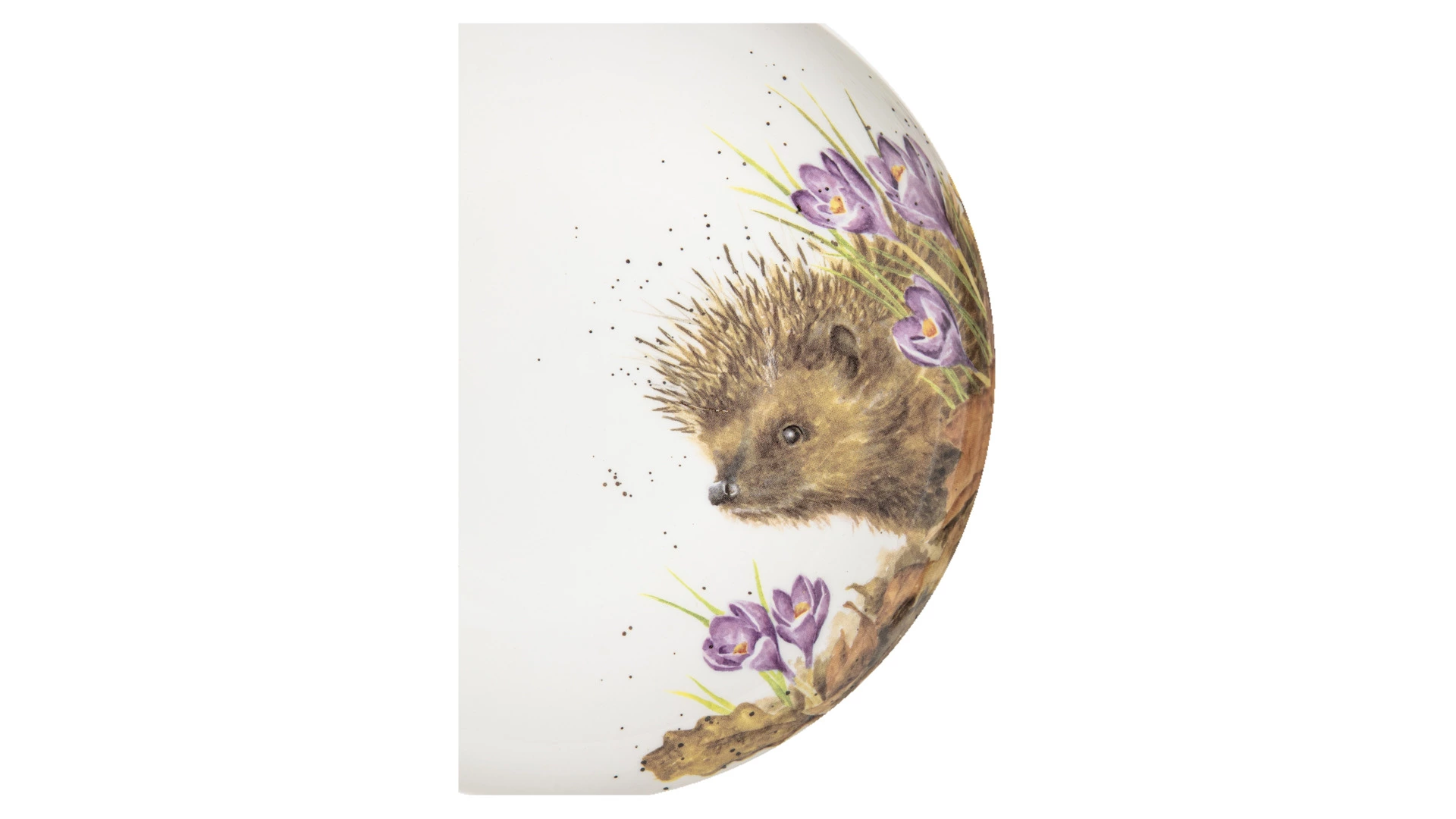 Тарелка для пасты Royal Worcester Забавная фауна Еж 22 см, фарфор костяной