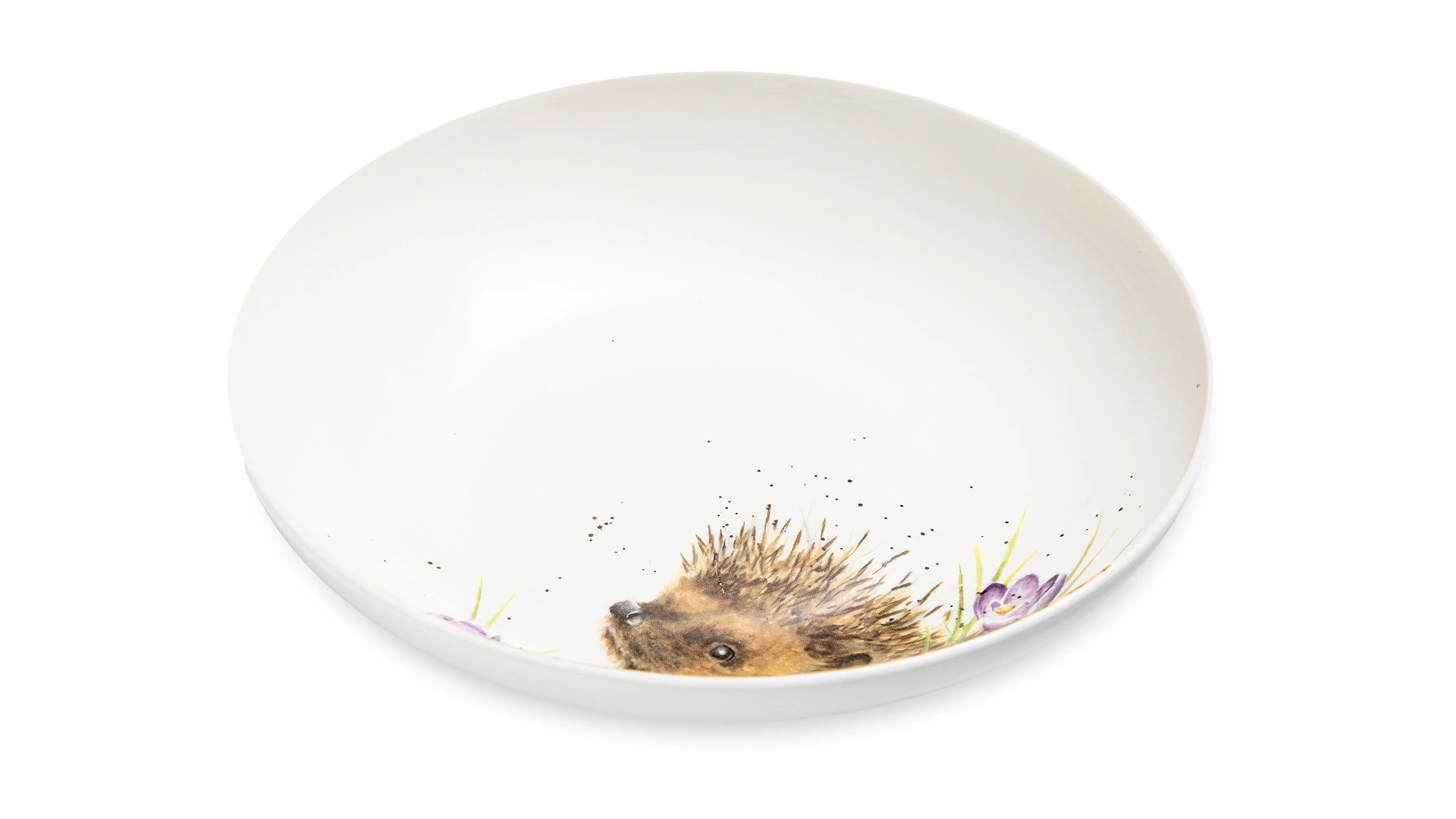 Тарелка для пасты Royal Worcester Забавная фауна Еж 22 см, фарфор костяной