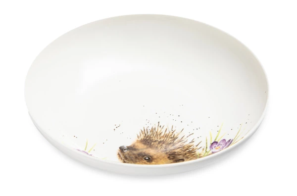 Тарелка для пасты Royal Worcester Забавная фауна Еж 22 см, фарфор костяной