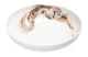 Тарелка для пасты Royal Worcester Забавная фауна Сова 22 см, фарфор костяной