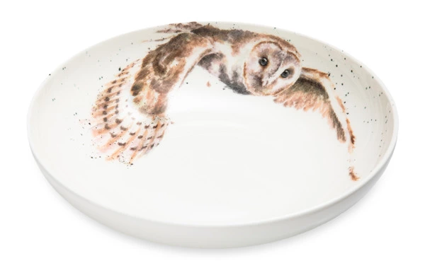 Тарелка для пасты Royal Worcester Забавная фауна Сова 22 см, фарфор костяной