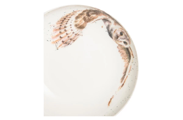 Тарелка для пасты Royal Worcester Забавная фауна Сова 22 см, фарфор костяной