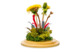 Композиция из холодного фарфора в куполе Одуванчики с полевыми цветами и клевером