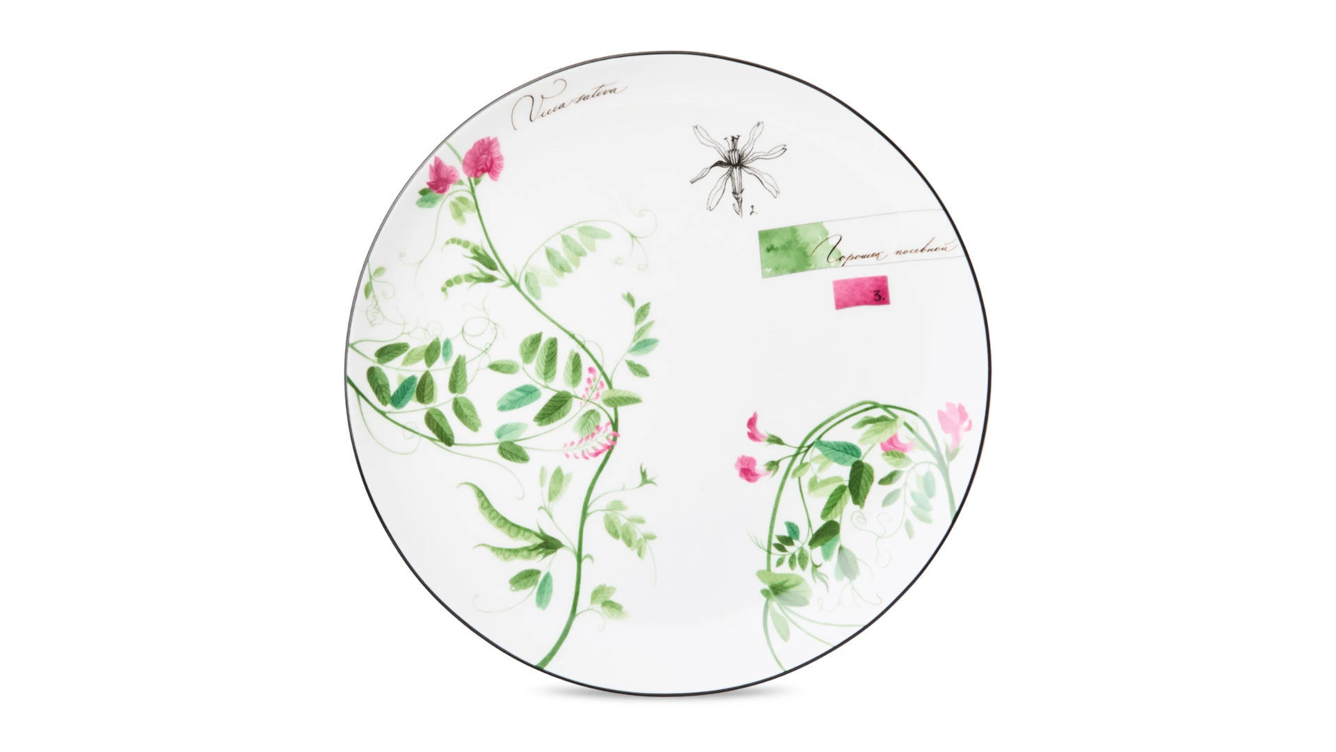 Тарелка обеденная Shirokov Скетчбук Горошек 27 см, фарфор костяной