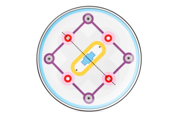 Тарелка обеденная Shirokov Мемфис 27 см, голубой кант, фарфор костяной