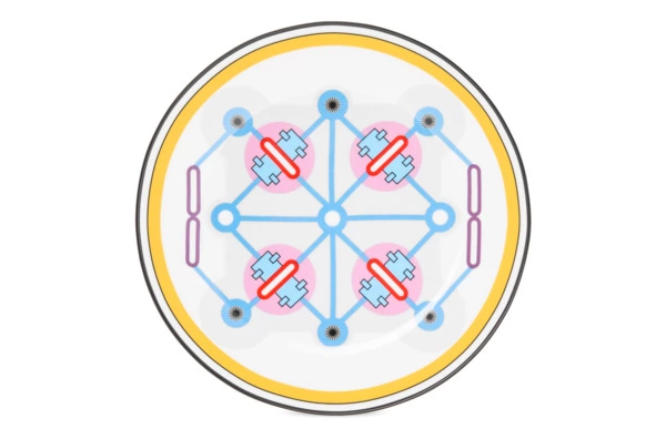 Тарелка закусочная Shirokov Мемфис 20,5 см, желтый кант, фарфор костяной