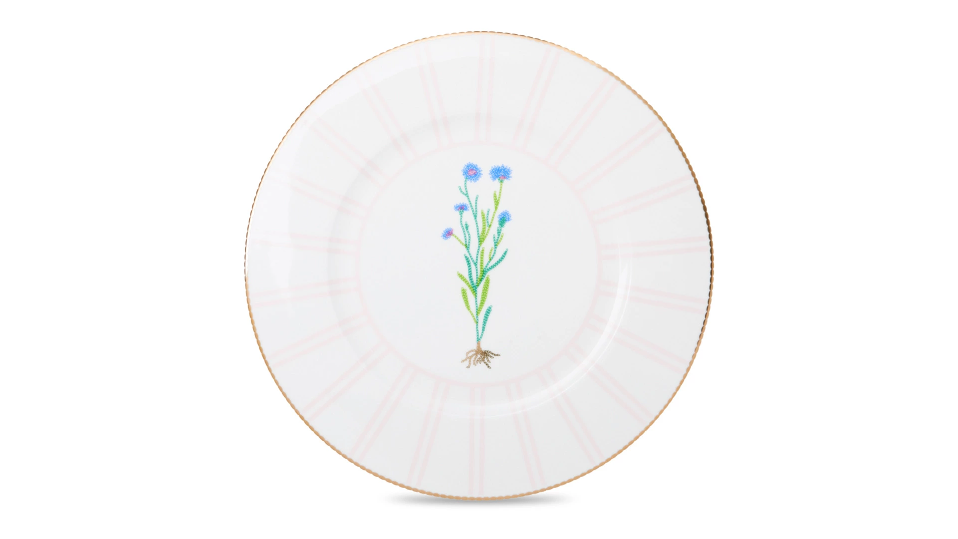 Тарелка обеденная Shirokov Гербарий Василек 28 см, фарфор костяной, позолота