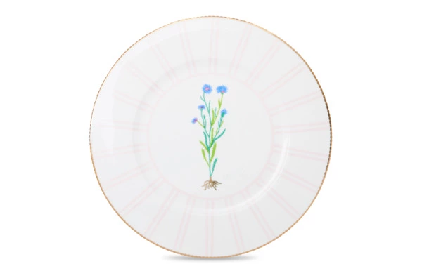 Тарелка обеденная Shirokov Гербарий Василек 28 см, фарфор костяной, позолота
