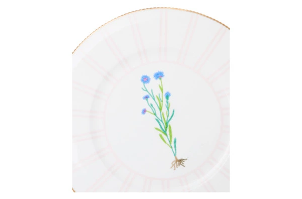 Тарелка обеденная Shirokov Гербарий Василек 28 см, фарфор костяной, позолота