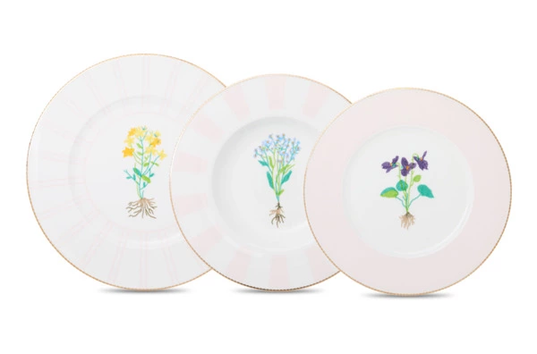 Сервиз столовый Shirokov Гербарий на 4 персоны, 12 предметов, фарфор костяной, позолота