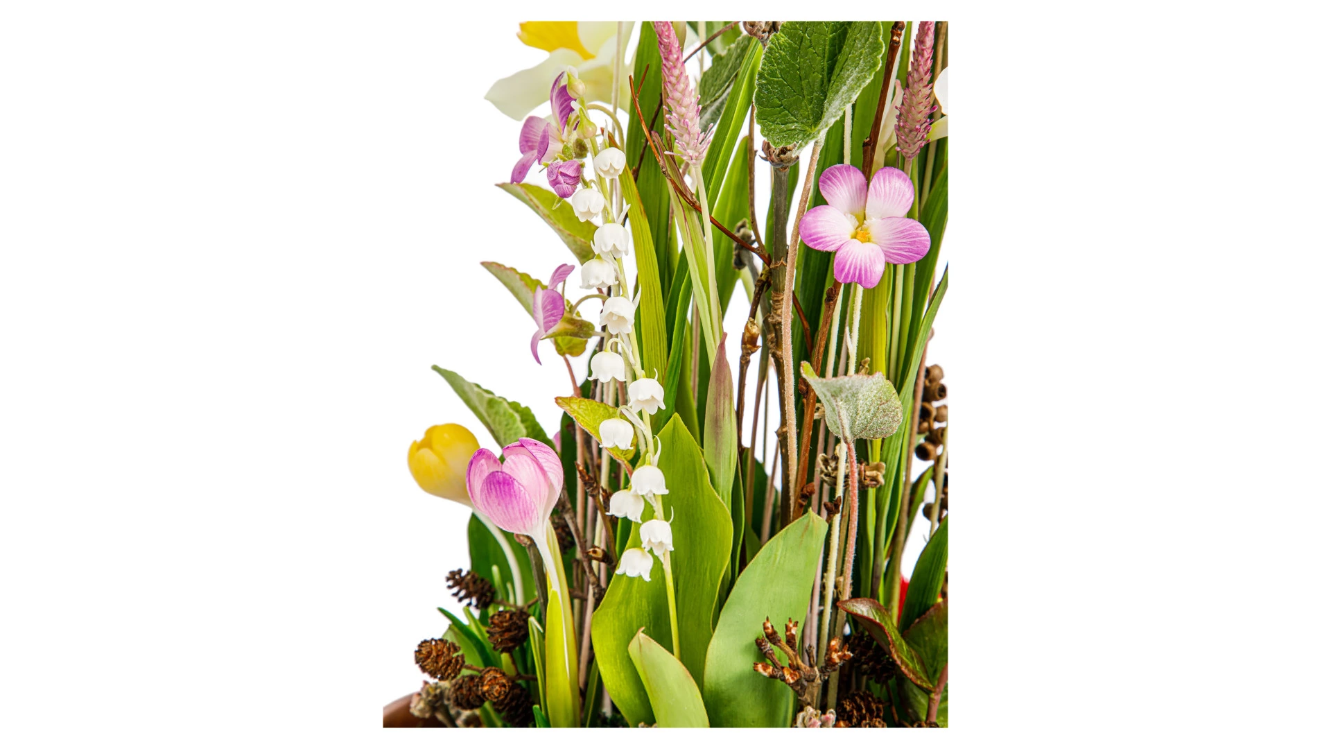 Композиция из холодного фарфора из ирисов, нарциссов, ландыша, крокуса, лесной фиалки в куполе