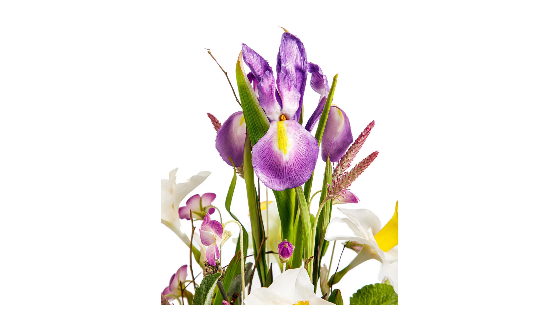 Композиция из холодного фарфора из ирисов, нарциссов, ландыша, крокуса, лесной фиалки в куполе