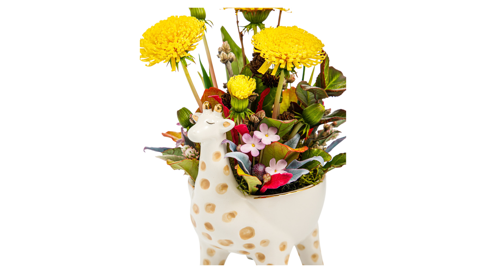 Одуванчики с полевыми цветами и травами из холодного фарфора в керамическом кашпо жираф