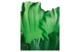 Ваза Decor de table Мак 40 см, хрусталь, зеленая