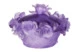 Конфетница с крышкой Decor de Table Pate de Verre Cristal Роза 17 см, хрустальное тесто