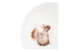 Салатник порционный Royal Worcester Забавная фауна Белка 15,5 см, фарфор костяной