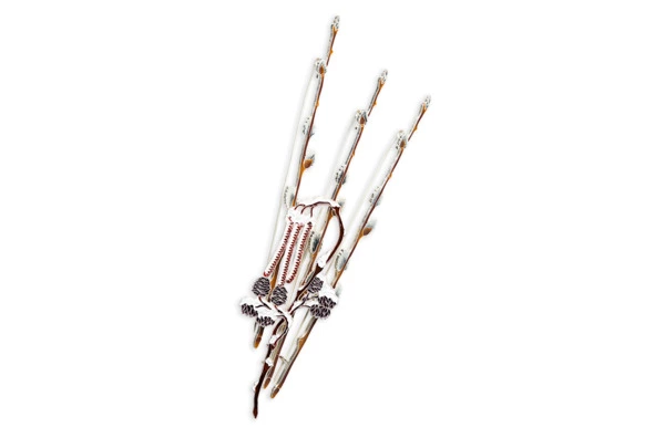 Брошь Русские самоцветы Верба 10,9 г, серебро 925