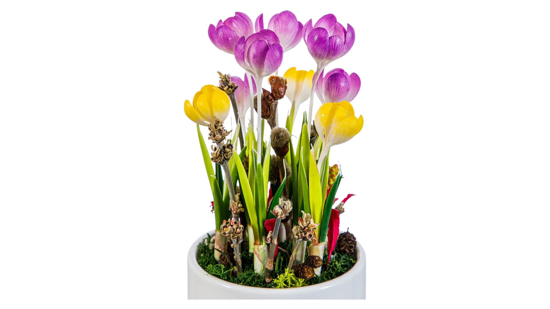 Крокусы из холодного фарфора, 9 шт, в белом керамическом кашпо