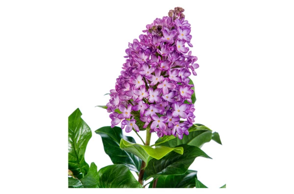 Ветка сирени из холодного фарфора в деревянной вазе