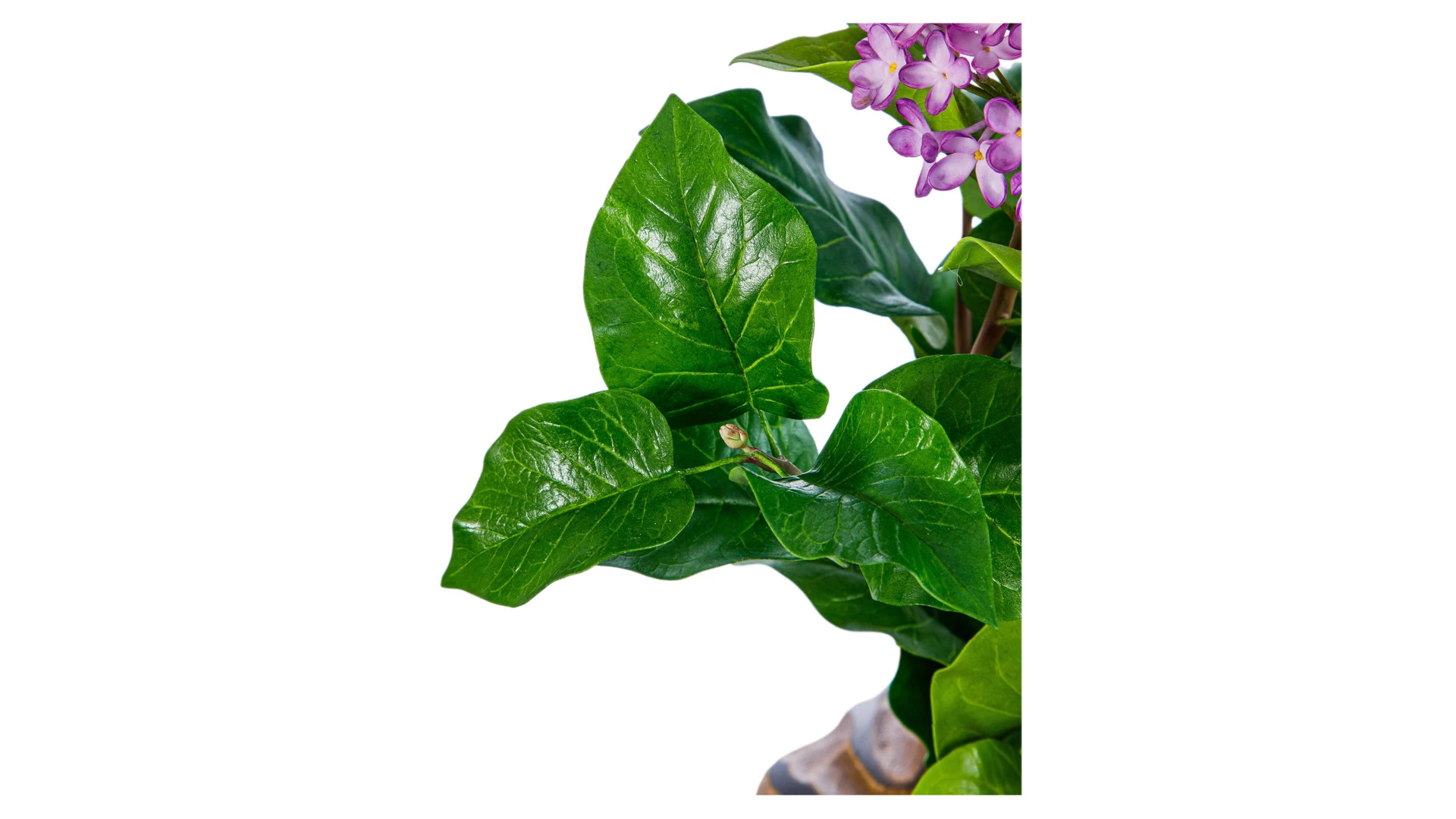 Ветка сирени из холодного фарфора в деревянной вазе