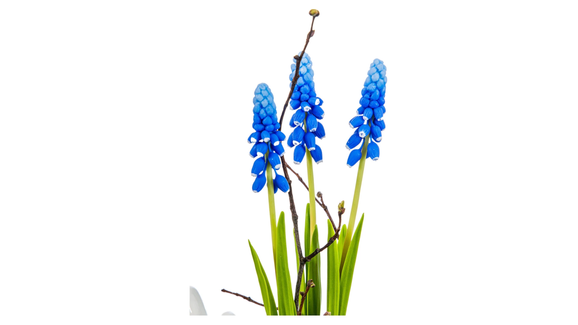 Композиция из холодного фарфора Мускари в букете, 3 шт