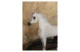 Фигурка Lladro Арабский скакун 46х44 см, фарфор