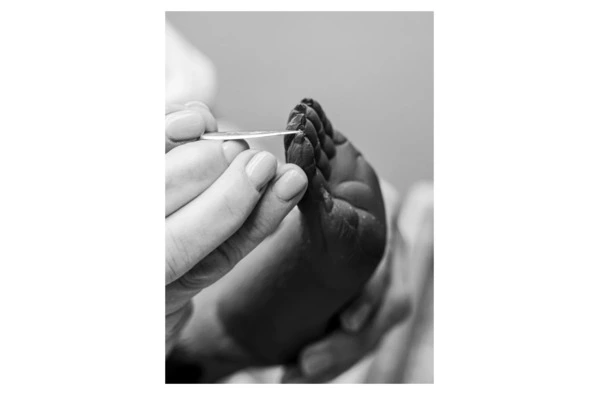 Фигурка Lladro Коала 34х 21x27 см, фарфор, черно-золотая, лимитированный выпуск