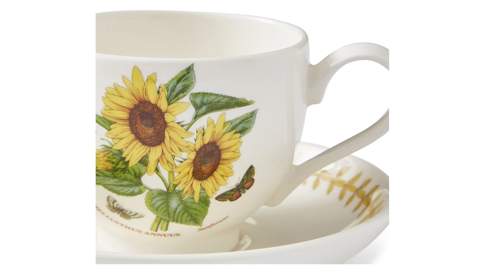 Чашка чайная с блюдцем Portmeirion Ботанический сад. Летний луг Подсолнух 260 мл, фаянс