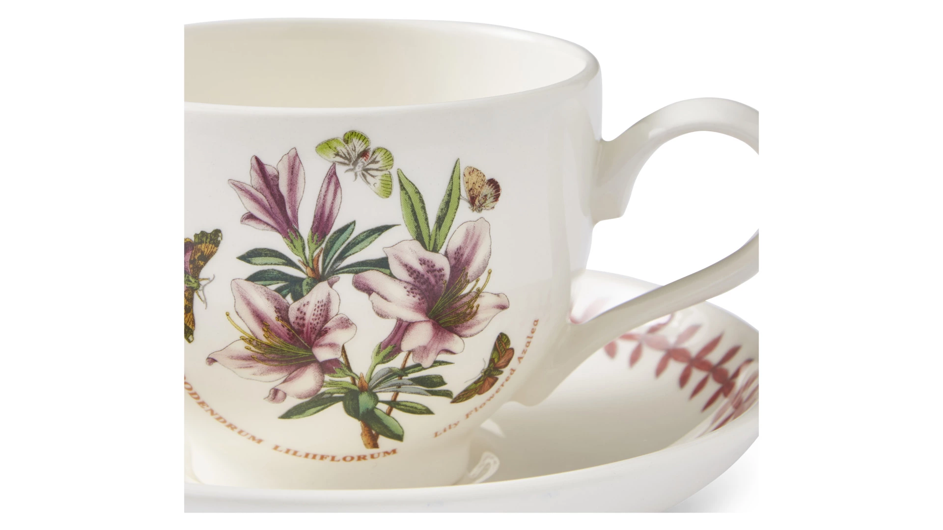 Чашка чайная с блюдцем Portmeirion Ботанический сад. Летний луг Азалия 260 мл, фаянс