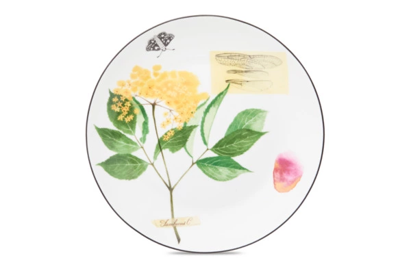 Тарелка закусочная Shirokov Скетчбук Бузина 20,5 см, фарфор костяной