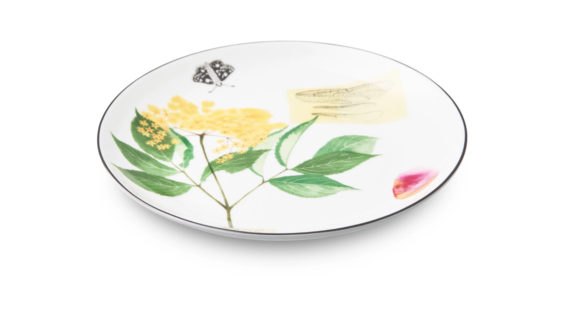 Тарелка закусочная Shirokov Скетчбук Бузина 20,5 см, фарфор костяной