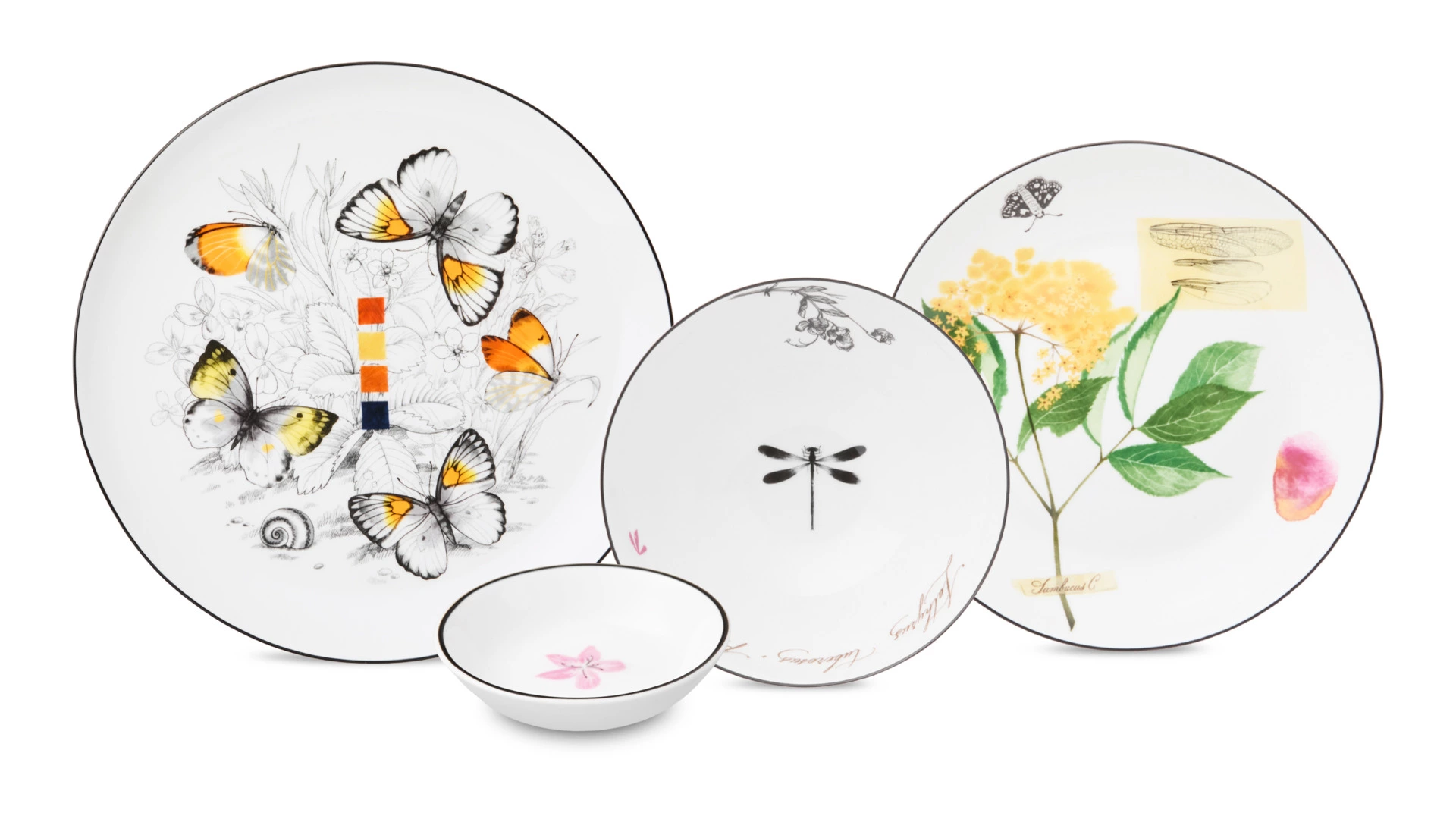 Сервиз столовый Shirokov Скетчбук Бабочки на 4 персоны, 16 предметов, фарфор костяной,  п/к