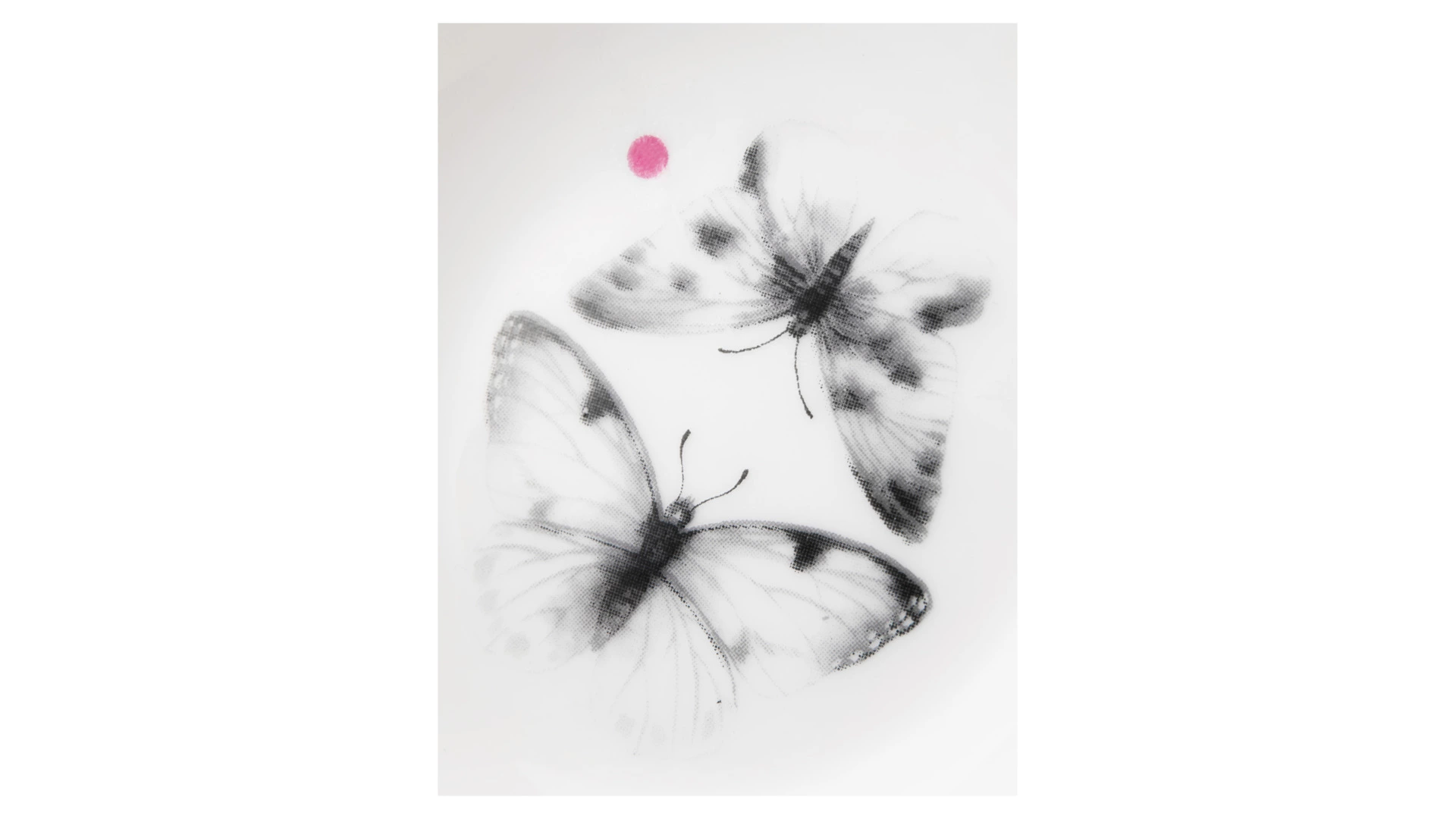 Сервиз столовый Shirokov Скетчбук Бабочки на 4 персоны, 16 предметов, фарфор костяной,  п/к