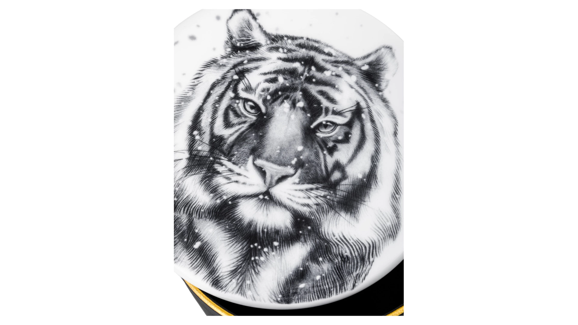 Шкатулка ИФЗ Идиллия Тотем. Тигр 13х13х7 см, фарфор костяной, п/к