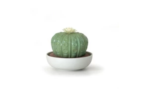 Аромадиффузор Lladro Astrophytum Cactus (сад Валенсии)
